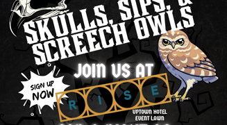 Skulls, Sips, & Screech Owls